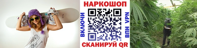 Магазины продажи наркотиков Нововоронеж COCAIN  Альфа ПВП  Конопля  Гашиш 