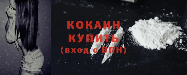 спайс Новодвинск