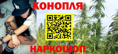 твердый Будённовск