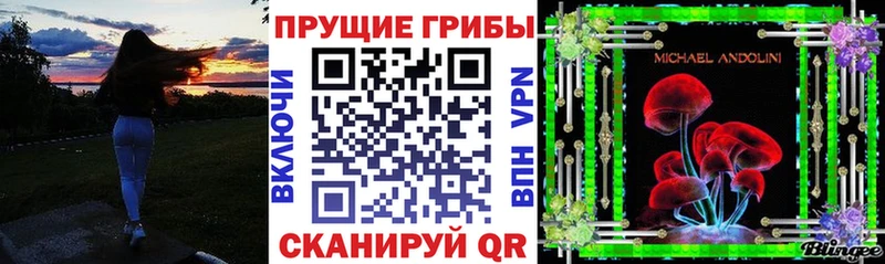 где купить наркоту  Нововоронеж  гидра онион  Галлюциногенные грибы Cubensis 
